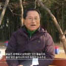 삼수령전통주 이미지