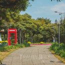 허브내음 이미지