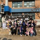 푸른나무 태권도 이미지