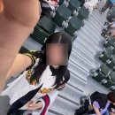 합천야구장 2구장 | 2025 롯데자이언츠 직관 승률 총결산⚾ :: 야구장별 직관후기 모음