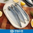 한림수산업협동조합 이미지
