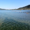 거류초등학교 이미지