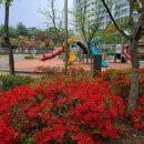 가현어린이공원 이미지