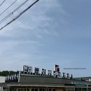 망향공원 | 연천 망향비빔국수 본점 다녀온 내돈내산 후기 애견동반 전용 공간 안내