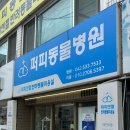 퍼피엔젤 반려동물 미용실 이미지