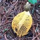 금란어린이집 이미지