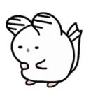 특별한 동물가게 네이버블로그