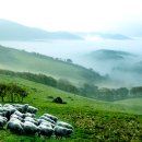 송내목장 이미지