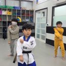 경희대 다원 태권도장 이미지