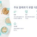 하나식품 이미지