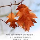 추워진 날씨 -한주 내내 건강하세요 이미지