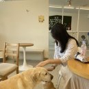 리코스타코인노래연습장 이미지