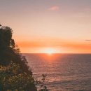 발리스파테라스5 이미지