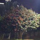 인쌩맥주 여수문수점 | [후기] 여수 문수동 술집, 생맥주 한잔