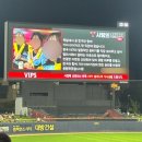 광주120 | #6 광주 챔필 첫 응원특별석 120블록 시야 및 직관 후기 + 기아가 빕스 줌