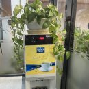 연일 에코코아루경로당 | (포항연일맛집)연일한정식 생선밥상