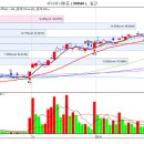 2월26일 목요일 추천종목 ~~~~~~~ 이미지