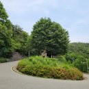 팔조령휴게소 이미지