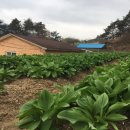 지리산팜스토리