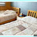 퍼시픽블루제주 이미지