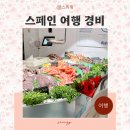 372 | 스페인 여행 경비 1인 환전 마드리드 공항 인천 귀국 하이난항공 CHH750 환승 아시아나 OZ372