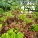 삼숭동 양주자이아파트 상가뒷편 도로 | 금강펜테리움 덕계역 ::양주 옥정 신도시 분양권 전문 :: 책임중개::양주자이좋은집 부동산 031-844-5800