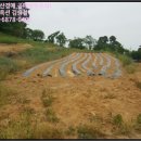 봉소2리 마을회관 이미지