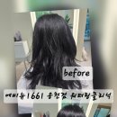 에비뉴1661