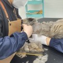 함께냥 앤 함께냥품 북수원점 이미지