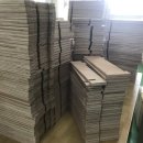 말티와푸들이사는집 이미지