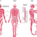 열린가정의학과의원 이미지