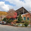 백야자연휴양림 오토캠핑장 이미지