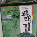 광천삼원맛김