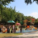 3D라이브 뮤지컬 ''오즈의 마법사'' 이미지