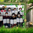 퓨전장구 이미지