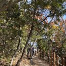 진도국밥 이미지