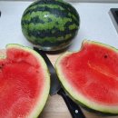 이정자농원 이미지