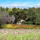 역사힐링코스 이미지