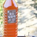 돌배식당