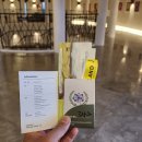 에코랜드 호텔 | 제주 에코랜드호텔 솔직후기; 숲속기차여행과 힐링을 한번에