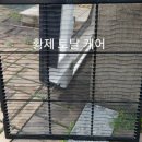 장안토탈케어 이미지