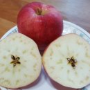꿀 홍로 사과 , 아삭 달콤한 일년중 최고의 당도여왕 홍로 사과 판매합니다. 이미지