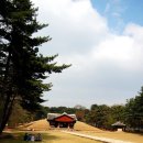 싱글모임 도보여행 2탄 - 원당종마목장과 서삼릉(5/31 일요일 10시 30분) 이미지