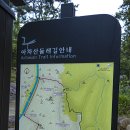 아차산공원의 맥문동의 군무를 보다.
