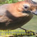 까치노래방 이미지