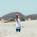 성읍리-20 이미지