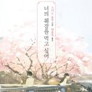 먹고가 | '너의 췌장을 먹고 싶어' 후기 - 이름 없는 ‘나’가 우리에게 남긴 질문들