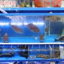 노다지수산 네이버블로그