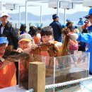 완도프라자 이미지