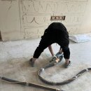 칠괴 우림필유 이미지